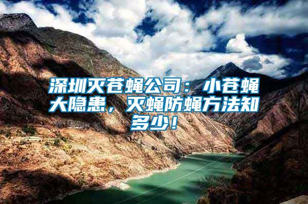 深圳滅蒼蠅公司：小蒼蠅大隱患，滅蠅防蠅方法知多少！