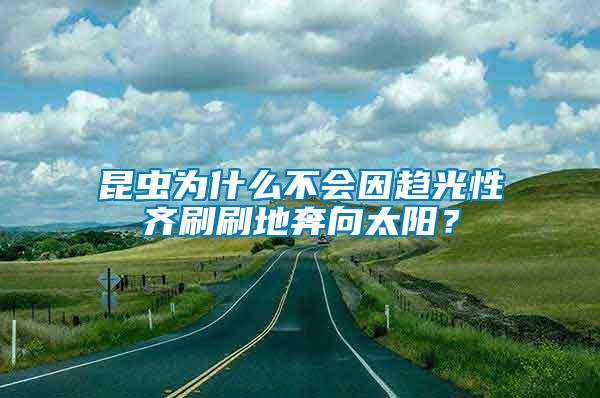 昆蟲(chóng)為什么不會(huì)因趨光性齊刷刷地奔向太陽(yáng)？