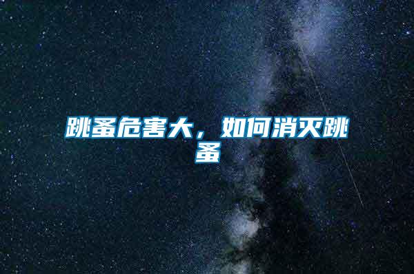 跳蚤危害大，如何消滅跳蚤