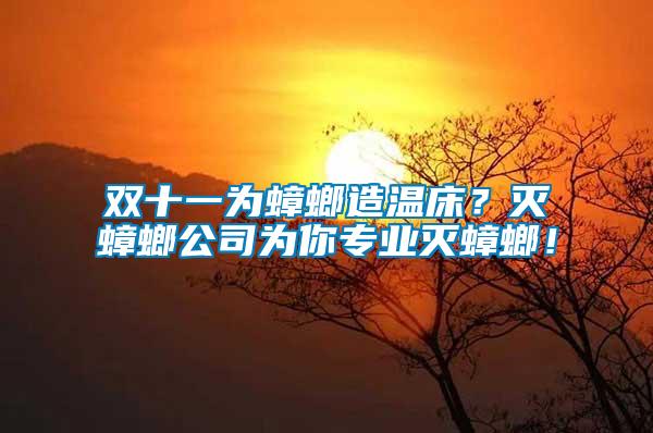 雙十一為蟑螂造溫床？滅蟑螂公司為你專(zhuān)業(yè)滅蟑螂！