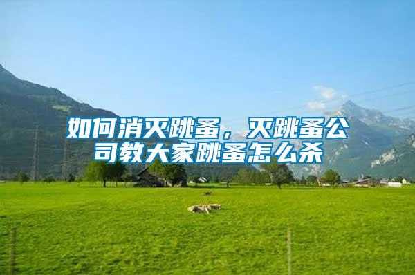 如何消滅跳蚤，滅跳蚤公司教大家跳蚤怎么殺
