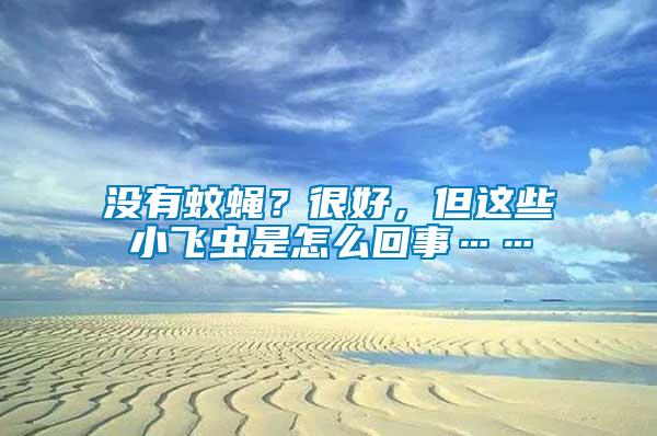 沒有蚊蠅？很好，但這些小飛蟲是怎么回事……