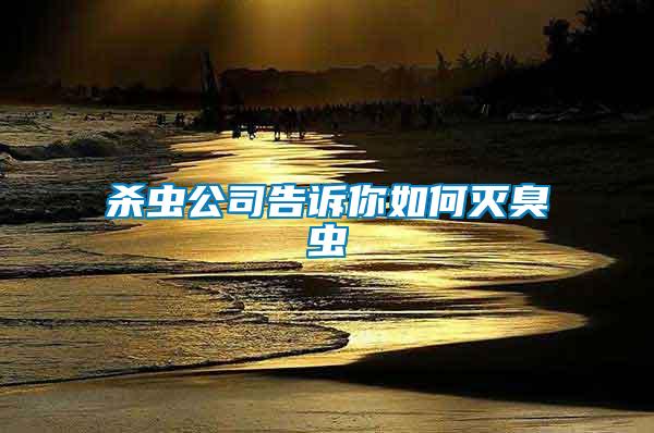 殺蟲(chóng)公司告訴你如何滅臭蟲(chóng)