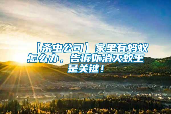 【殺蟲公司】家里有螞蟻怎么辦，告訴你消滅蟻王是關(guān)鍵！