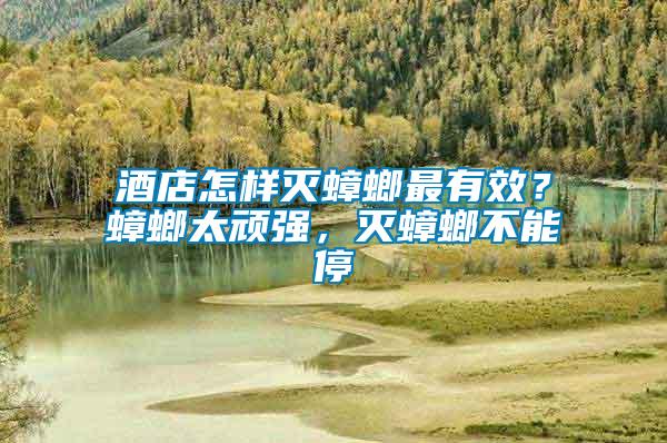 酒店怎樣滅蟑螂最有效？蟑螂太頑強，滅蟑螂不能停
