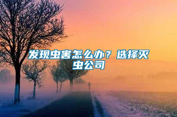 發(fā)現(xiàn)蟲害怎么辦？選擇滅蟲公司