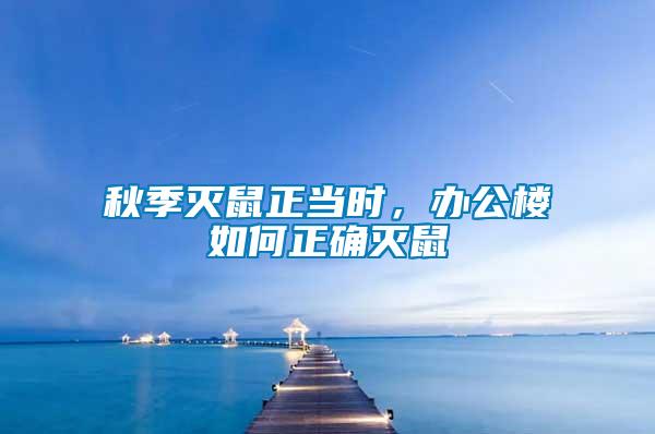 秋季滅鼠正當時，辦公樓如何正確滅鼠