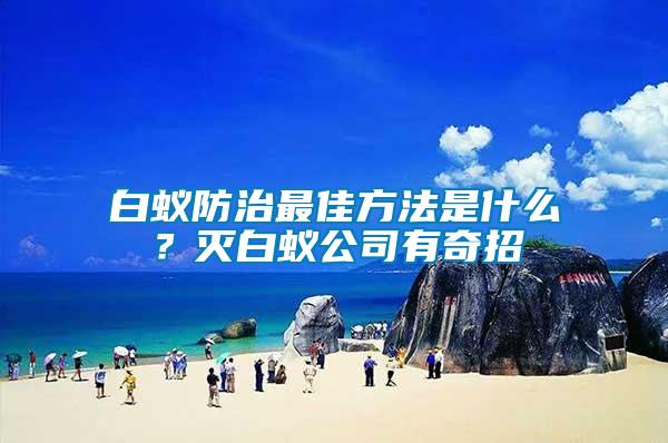 白蟻防治最佳方法是什么？滅白蟻公司有奇招