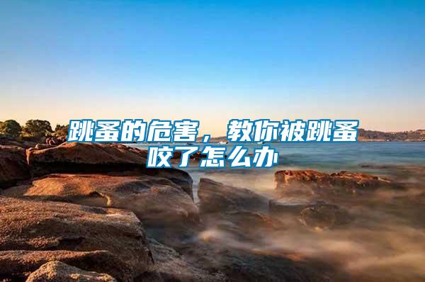 跳蚤的危害，教你被跳蚤咬了怎么辦