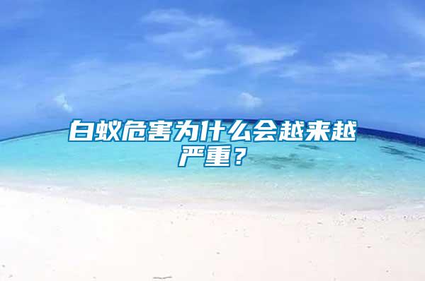 白蟻危害為什么會(huì)越來(lái)越嚴(yán)重？