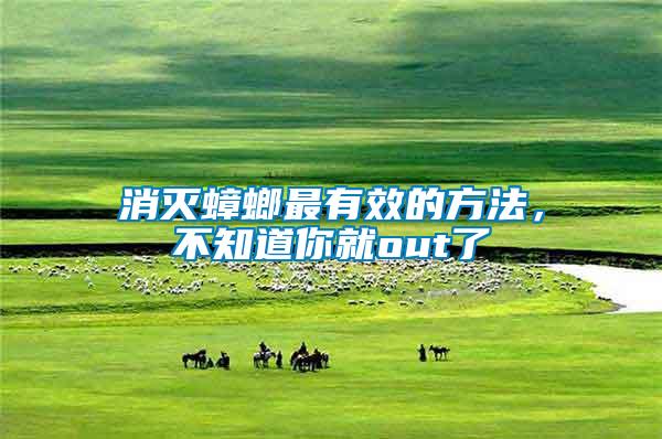 消滅蟑螂最有效的方法，不知道你就out了