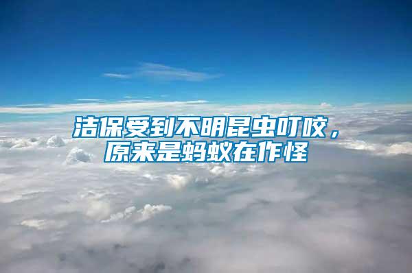 潔保受到不明昆蟲叮咬，原來是螞蟻在作怪