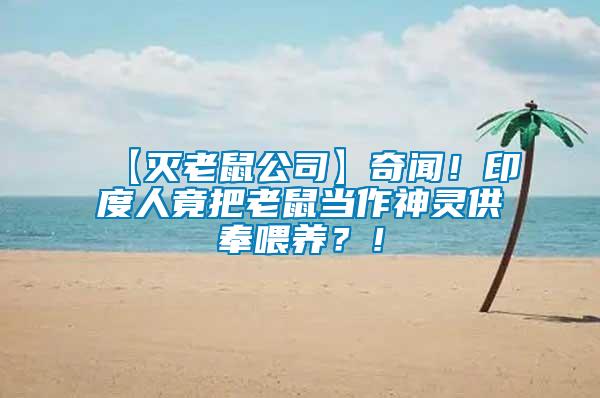 【滅老鼠公司】奇聞！印度人竟把老鼠當(dāng)作神靈供奉喂養(yǎng)？！