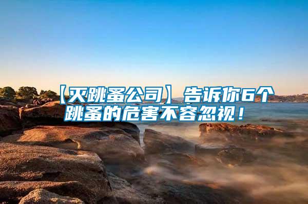 【滅跳蚤公司】告訴你6個(gè)跳蚤的危害不容忽視！