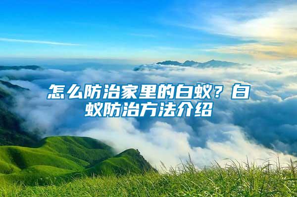 怎么防治家里的白蟻？白蟻防治方法介紹