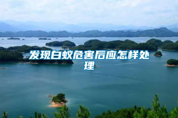 發(fā)現(xiàn)白蟻危害后應怎樣處理