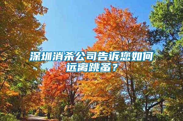 深圳消殺公司告訴您如何遠離跳蚤？