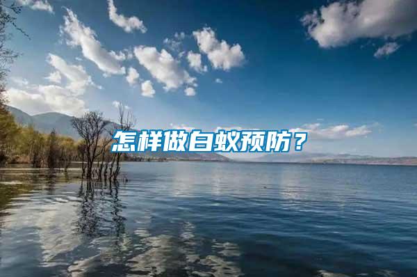 怎樣做白蟻預防？