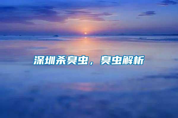 深圳殺臭蟲，臭蟲解析
