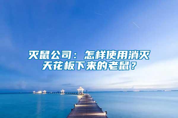 滅鼠公司：怎樣使用消滅天花板下來的老鼠？