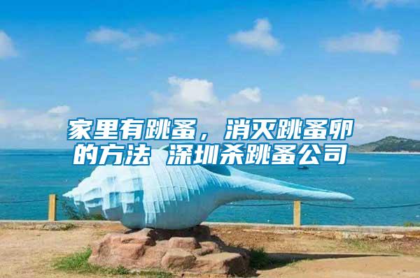 家里有跳蚤，消滅跳蚤卵的方法 深圳殺跳蚤公司