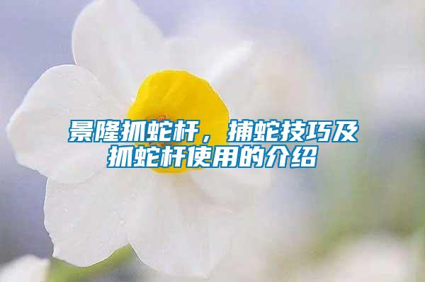 景隆抓蛇桿，捕蛇技巧及抓蛇桿使用的介紹