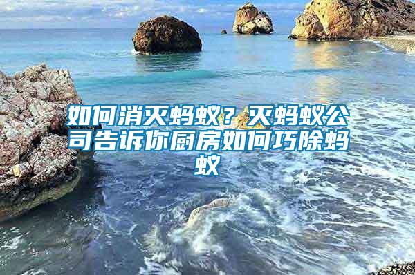 如何消滅螞蟻？滅螞蟻公司告訴你廚房如何巧除螞蟻