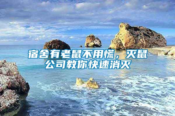 宿舍有老鼠不用慌，滅鼠公司教你快速消滅