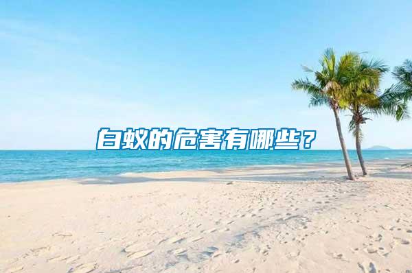 白蟻的危害有哪些？