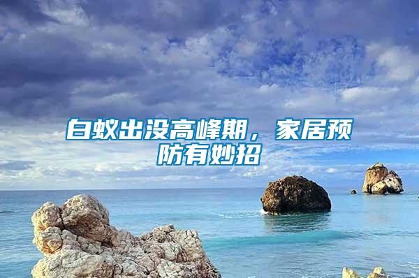 白蟻出沒高峰期，家居預防有妙招