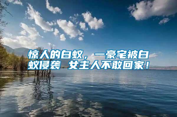 驚人的白蟻，一豪宅被白蟻侵襲 女主人不敢回家！
