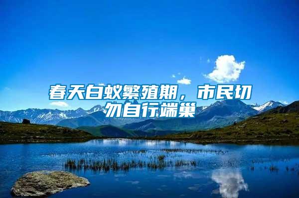 春天白蟻繁殖期，市民切勿自行端巢