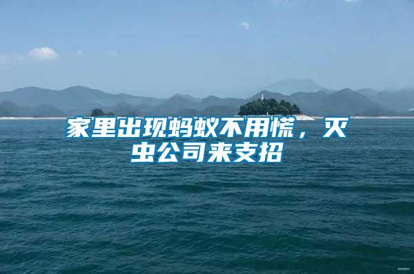 家里出現螞蟻不用慌，滅蟲公司來支招