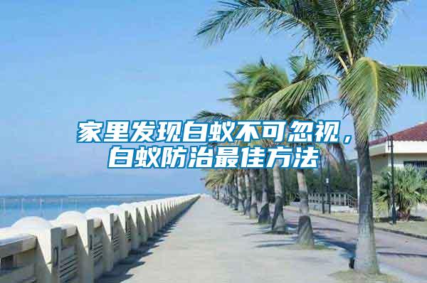 家里發現白蟻不可忽視，白蟻防治最佳方法