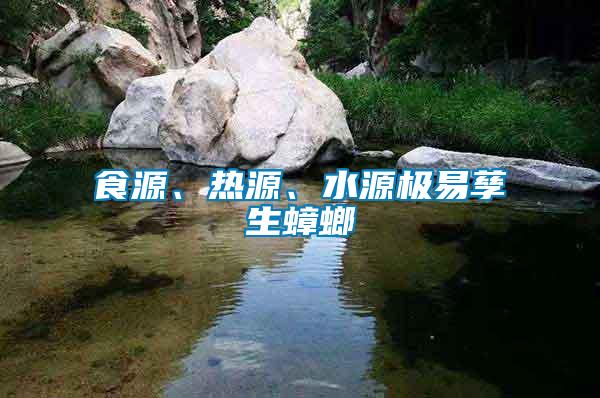 食源、熱源、水源極易孳生蟑螂
