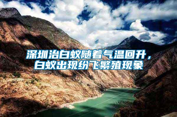 深圳治白蟻隨著氣溫回升，白蟻出現紛飛繁殖現象