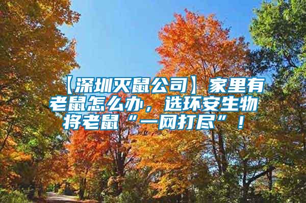 【深圳滅鼠公司】家里有老鼠怎么辦，選環安生物將老鼠“一網打盡”！