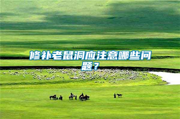 修補(bǔ)老鼠洞應(yīng)注意哪些問題？