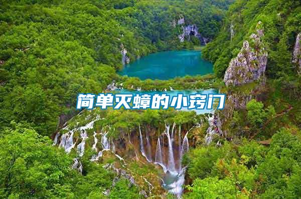 簡(jiǎn)單滅蟑的小竅門(mén)