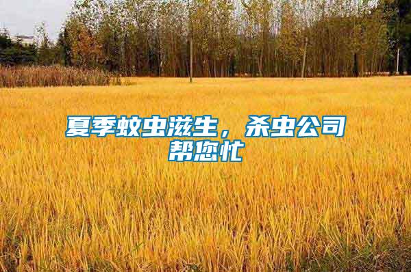 夏季蚊蟲滋生，殺蟲公司幫您忙