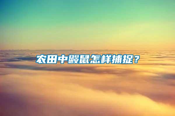 農田中鼴鼠怎樣捕捉？