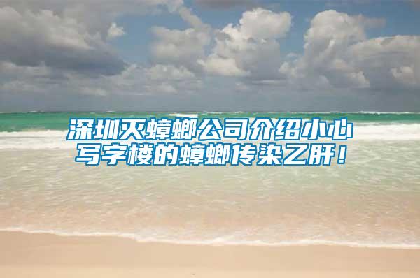 深圳滅蟑螂公司介紹小心寫字樓的蟑螂傳染乙肝！