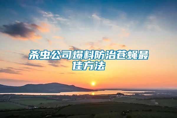 殺蟲(chóng)公司爆料防治蒼蠅最佳方法