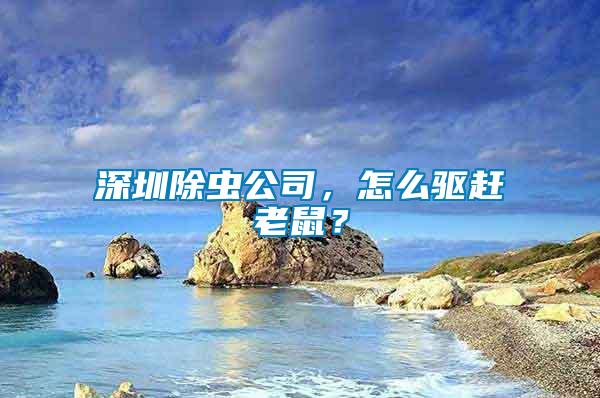 深圳除蟲公司，怎么驅(qū)趕老鼠？