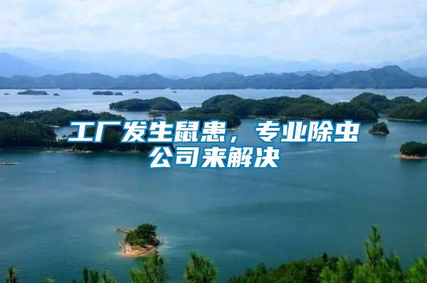 工廠發(fā)生鼠患，專(zhuān)業(yè)除蟲(chóng)公司來(lái)解決
