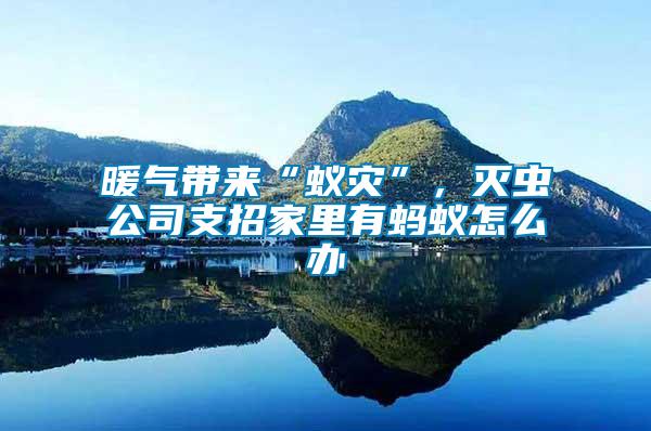 暖氣帶來“蟻災”，滅蟲公司支招家里有螞蟻怎么辦