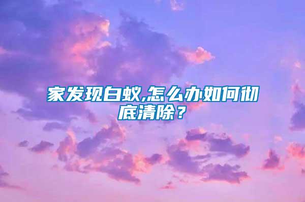家發現白蟻,怎么辦如何徹底清除？