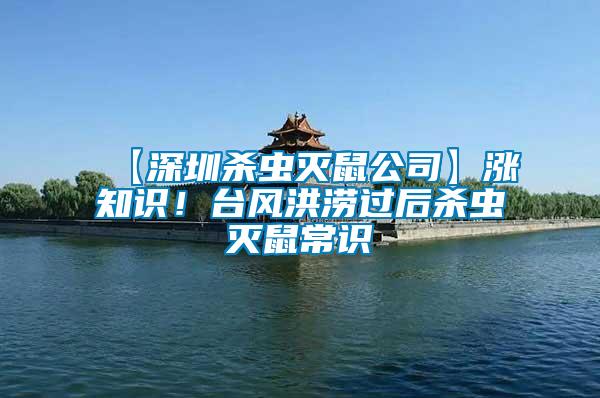 【深圳殺蟲滅鼠公司】漲知識！臺風洪澇過后殺蟲滅鼠常識