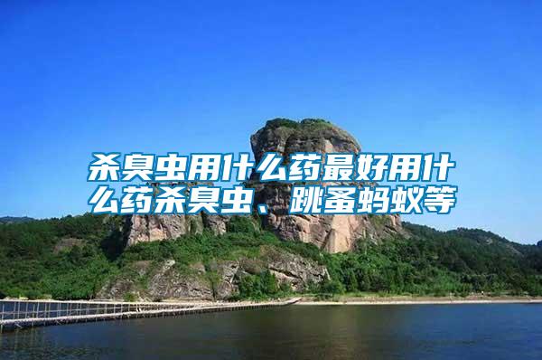 殺臭蟲用什么藥最好用什么藥殺臭蟲、跳蚤螞蟻等