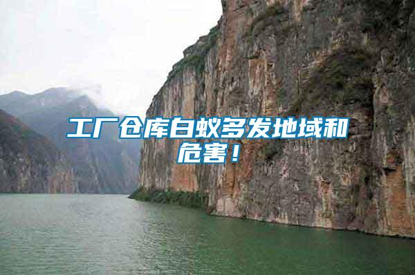 工廠倉(cāng)庫(kù)白蟻多發(fā)地域和危害！